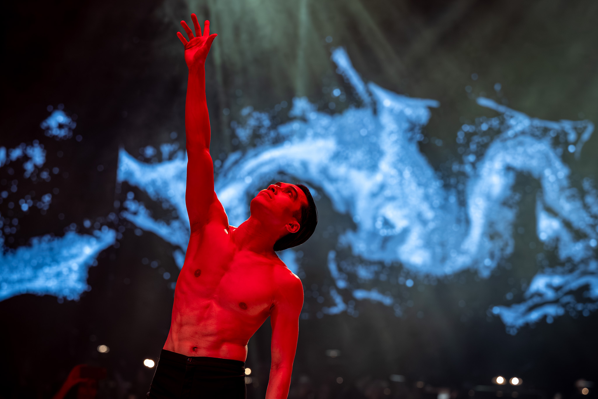 今年的舞会再次带来了难忘的时刻与出色的氛围。（摄影：András Adorján, Máté Dudás